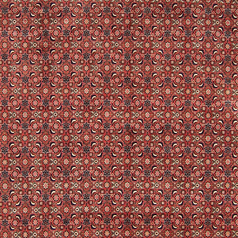 Persisk tæppe - Bijar - 316 x 252 cm - rød