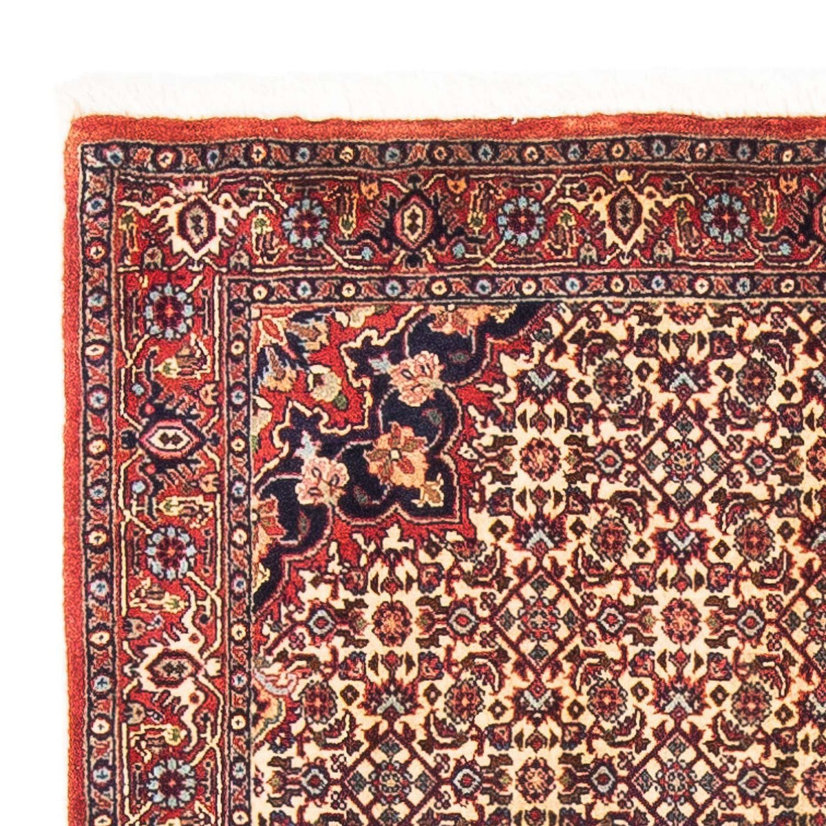 Persisk tæppe - Bijar - 151 x 88 cm - beige