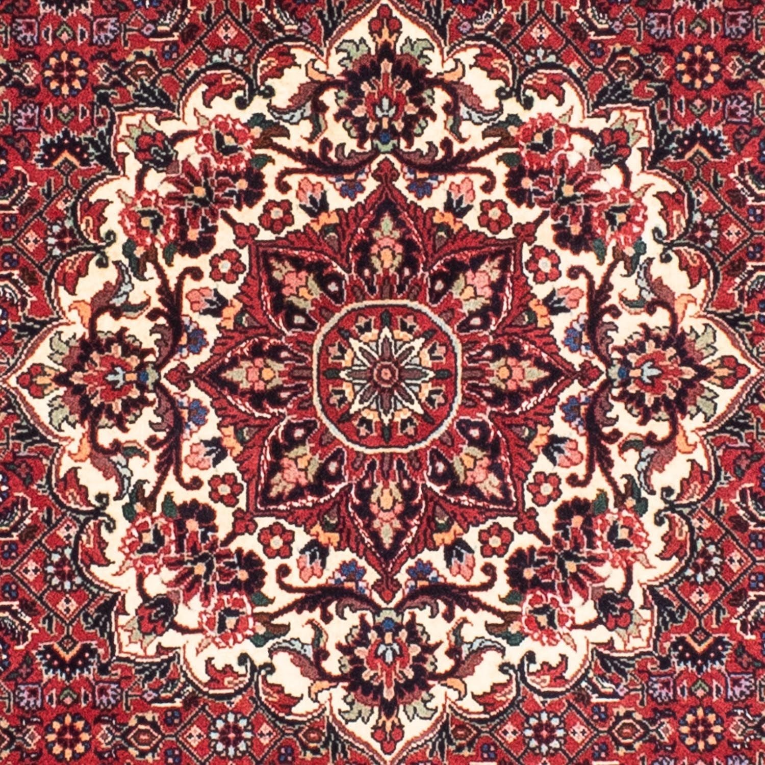 Persisk tæppe - Bijar rundt  - 155 x 155 cm - mørkerød
