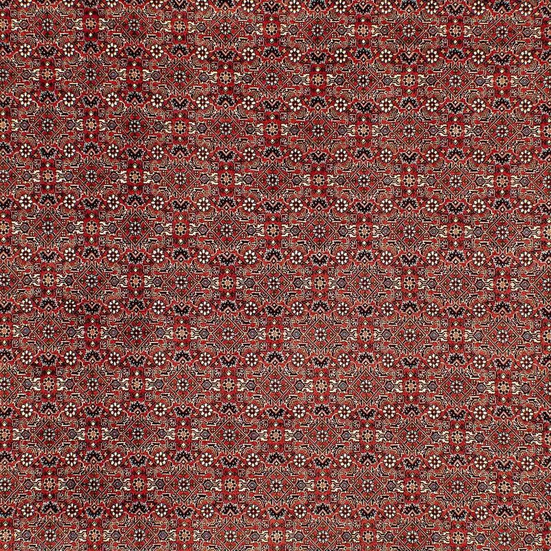 Persisk tæppe - Bijar - 300 x 206 cm - lysrød