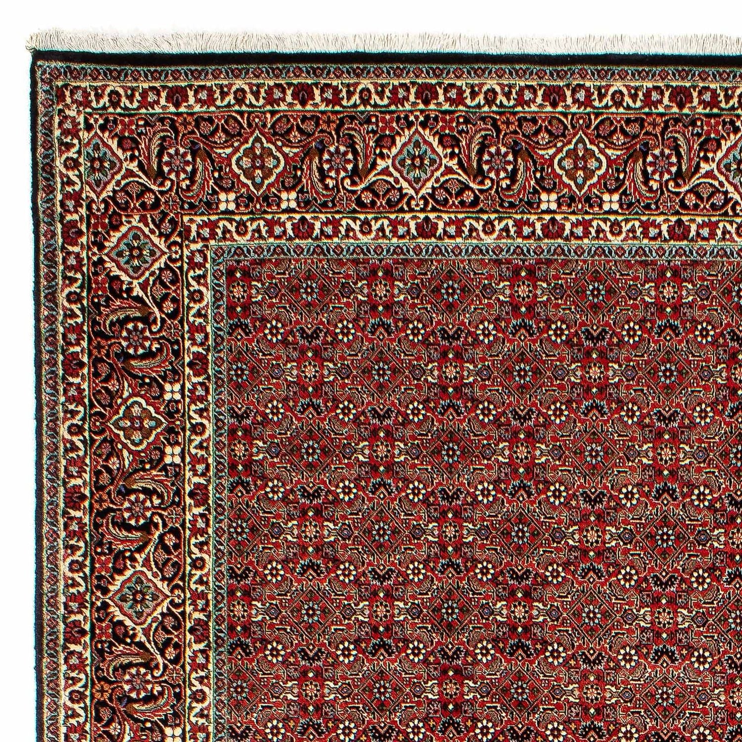 Persisk tæppe - Bijar - 300 x 206 cm - lysrød