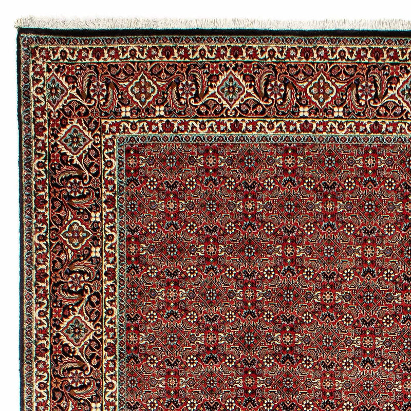 Persisk tæppe - Bijar - 300 x 206 cm - lysrød