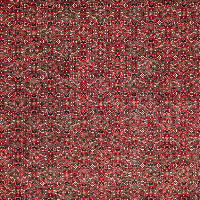 Persisk tæppe - Bijar - 302 x 210 cm - mørkerød