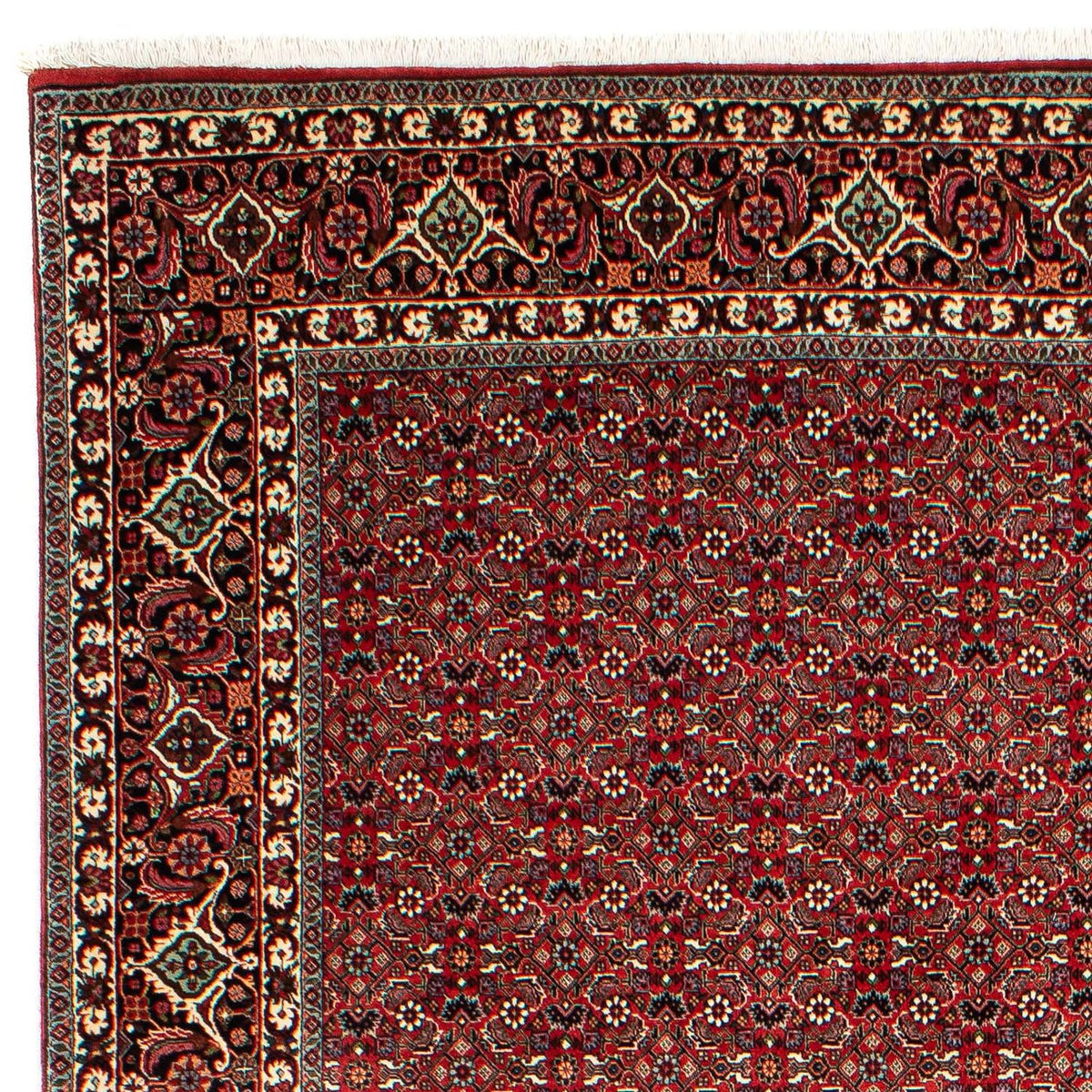 Bidjar Tæppe 210x302cm - Persisk tæppe