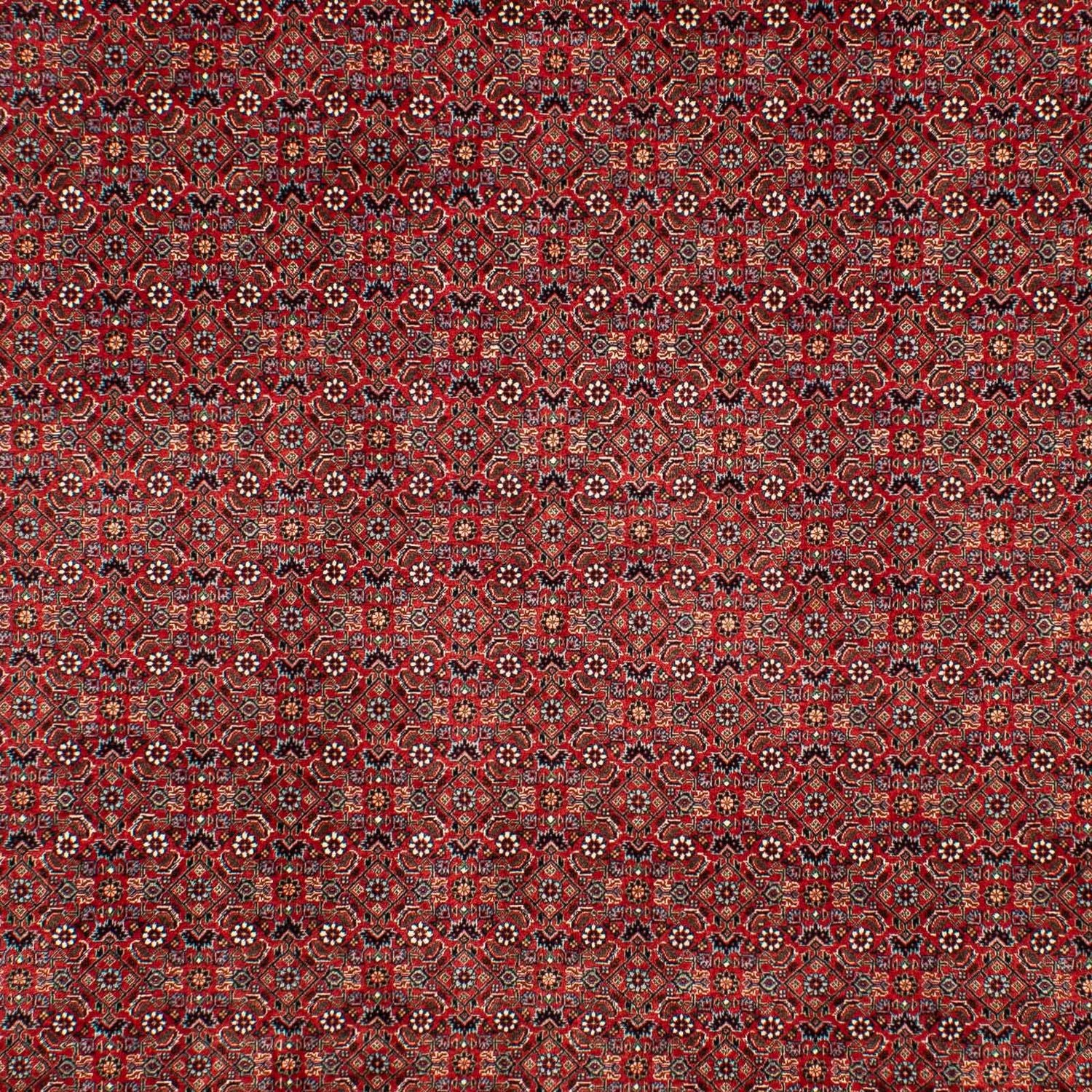 Persisk tæppe - Bijar - 298 x 205 cm - mørkerød