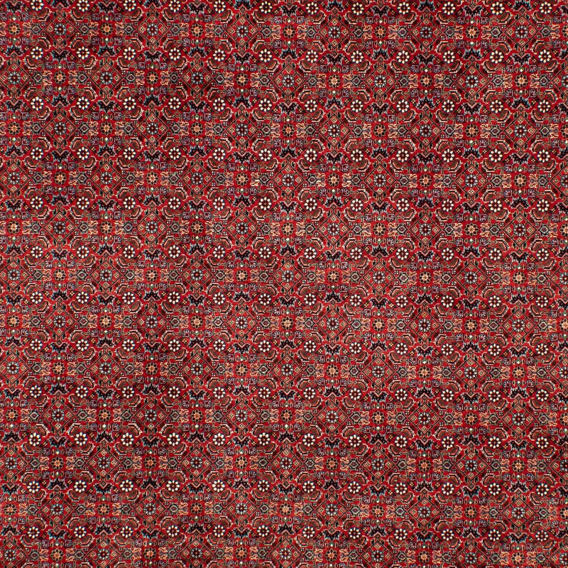 Persisk tæppe - Bijar - 298 x 205 cm - mørkerød