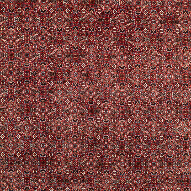 Persisk tæppe - Bijar - 299 x 202 cm - mørkerød