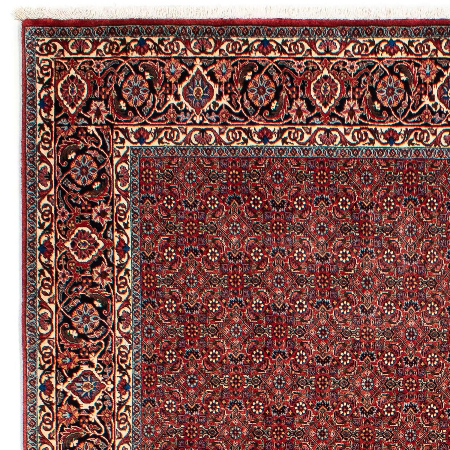 Persisk tæppe - Bijar - 299 x 202 cm - mørkerød
