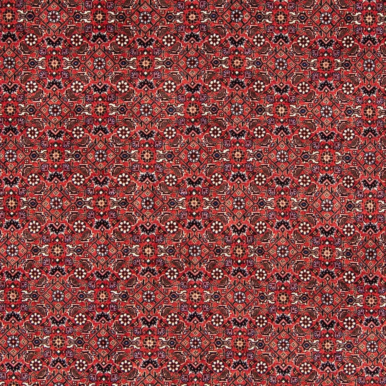 Persisk tæppe - Bijar - 243 x 173 cm - mørkerød