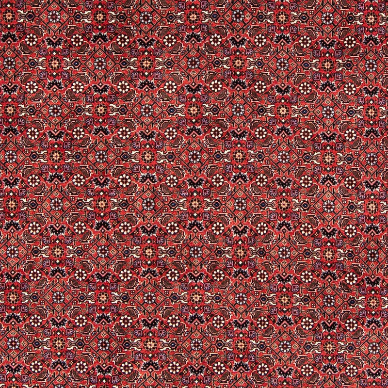 Persisk tæppe - Bijar - 243 x 173 cm - mørkerød