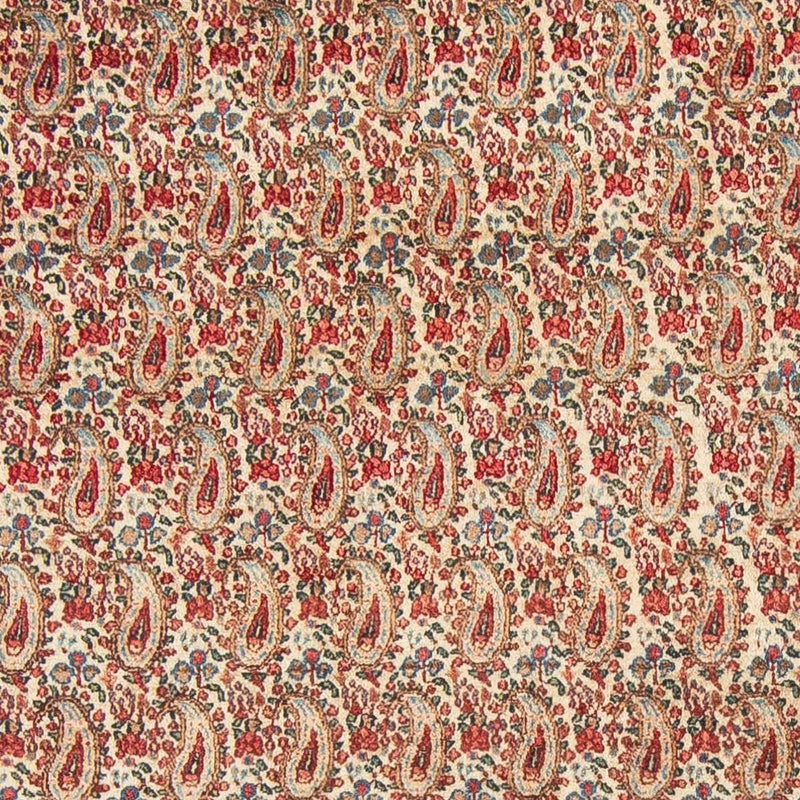 Persisk tæppe - Royal - 307 x 205 cm - beige