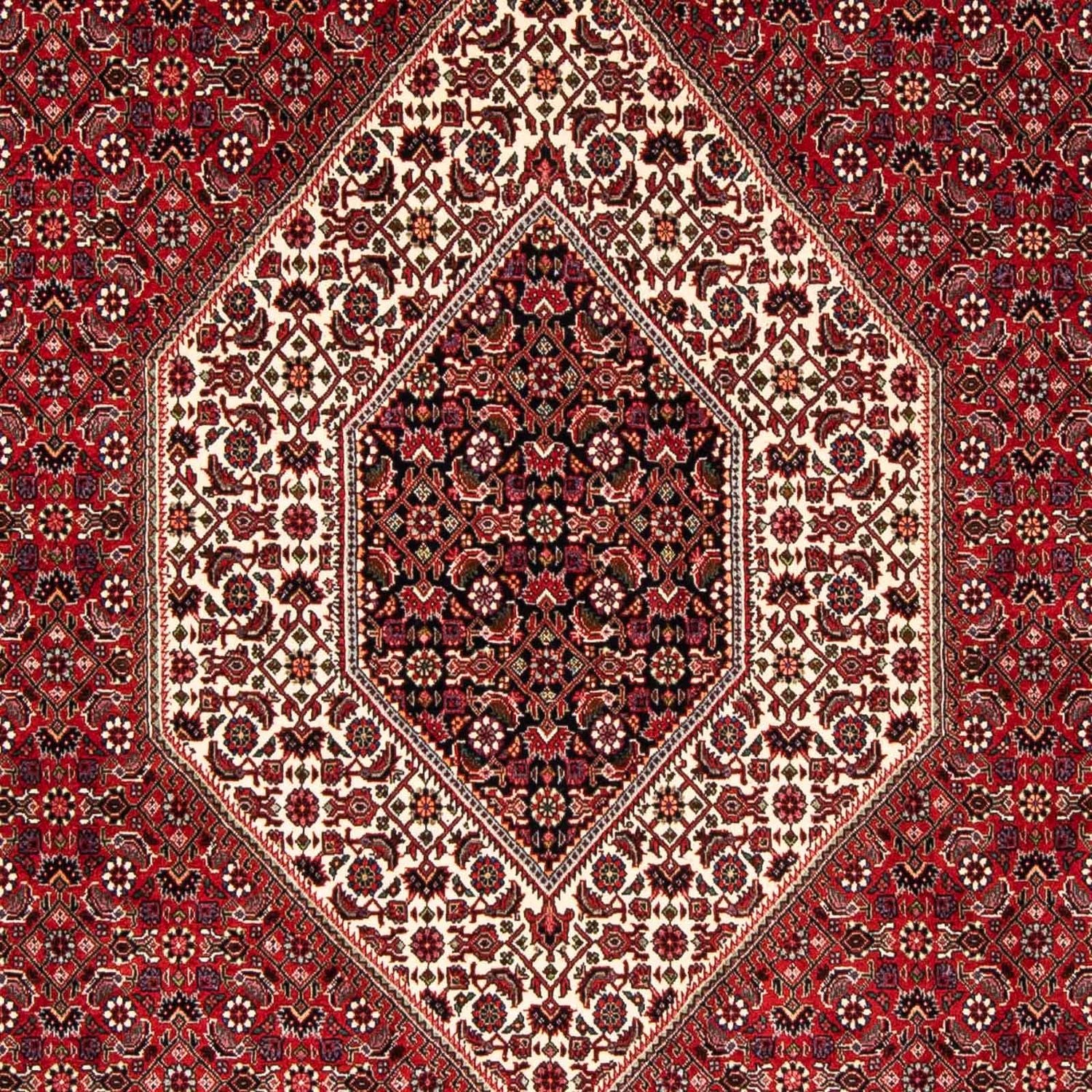 Persisk tæppe - Bijar - 246 x 170 cm - mørkerød