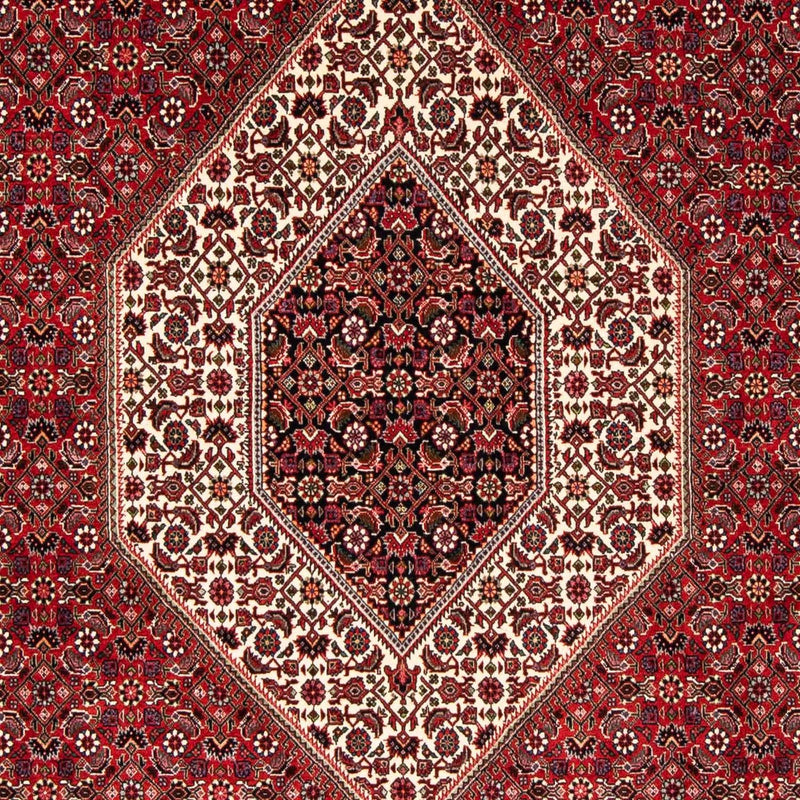 Persisk tæppe - Bijar - 246 x 170 cm - mørkerød
