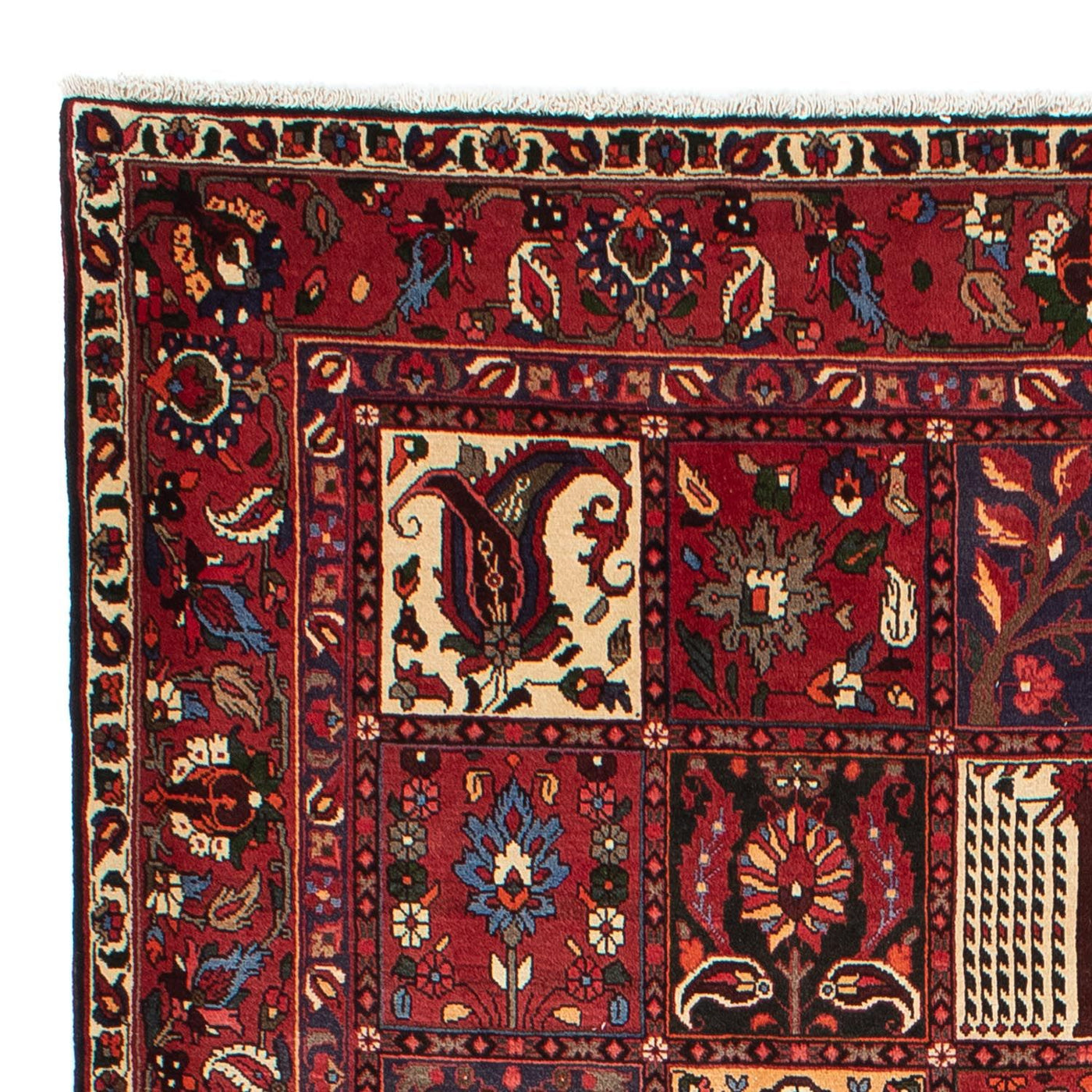 Bakhtiari Tæppe 310x210cm - Persisk tæppe
