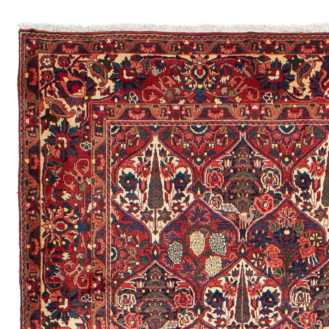 Bakhtiari Tæppe 323x210cm - Persisk tæppe