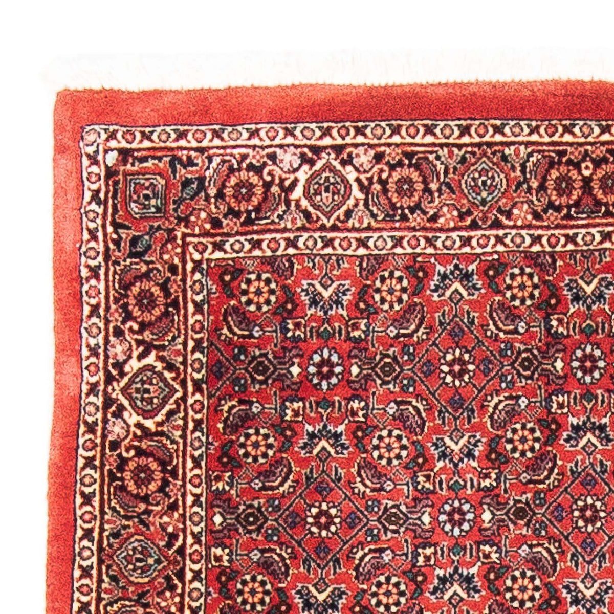Bidjar Tæppe 84x138cm - Persisk tæppe