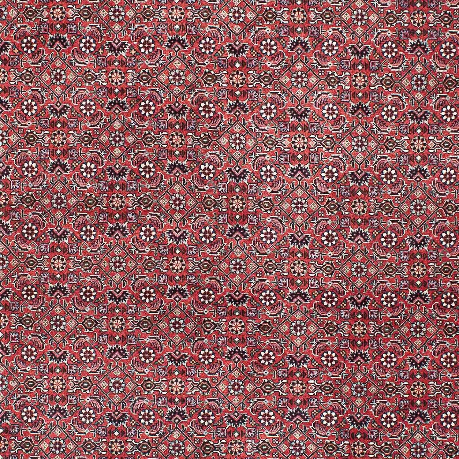 Persisk tæppe - Bijar - 208 x 132 cm - rød