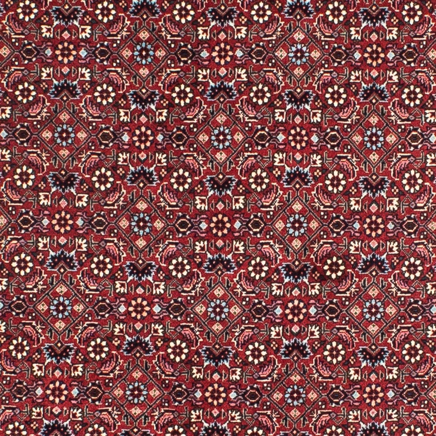 Persisk tæppe - Bijar rundt  - 155 x 155 cm - mørkerød