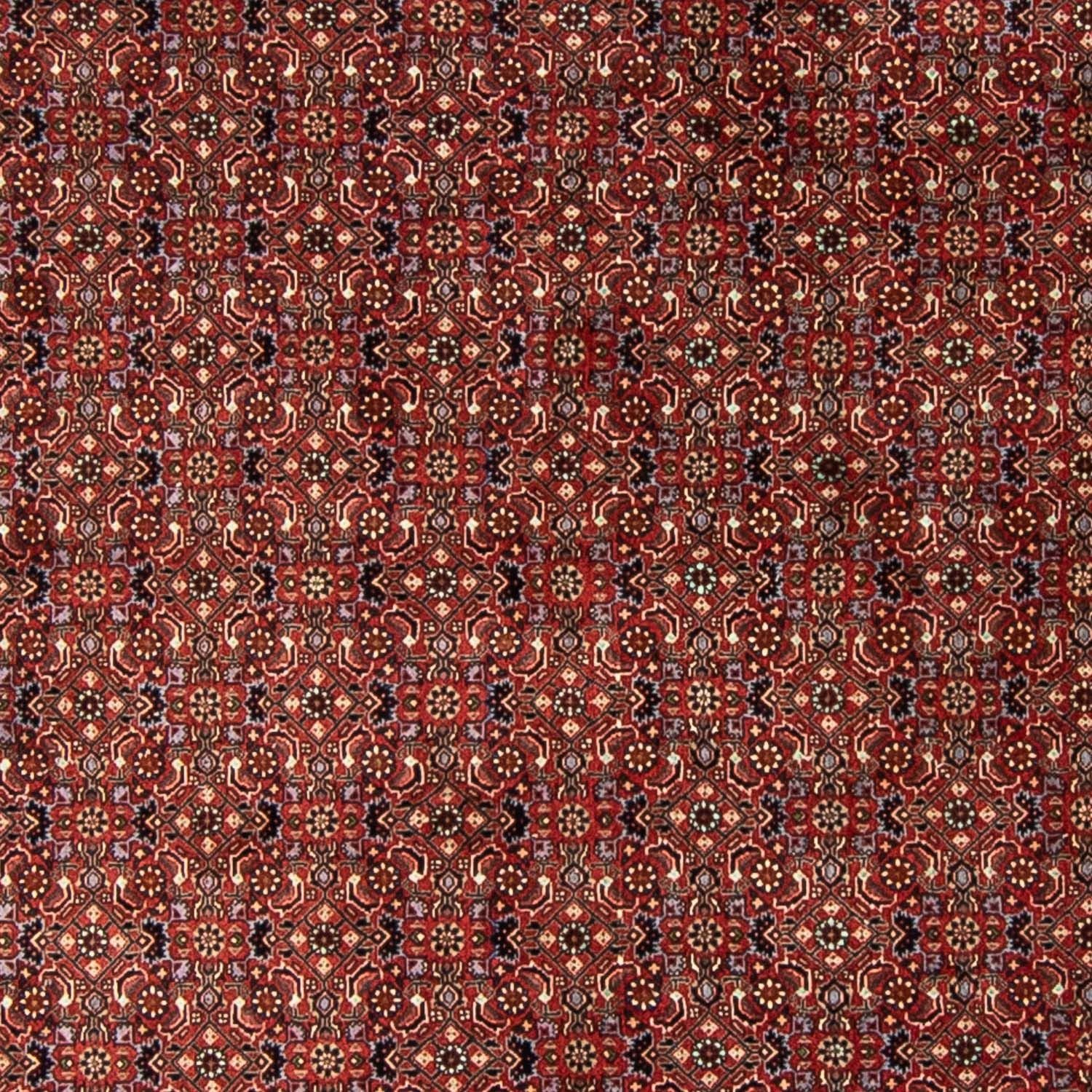 Persisk tæppe - Bijar rundt  - 250 x 250 cm - mørkerød