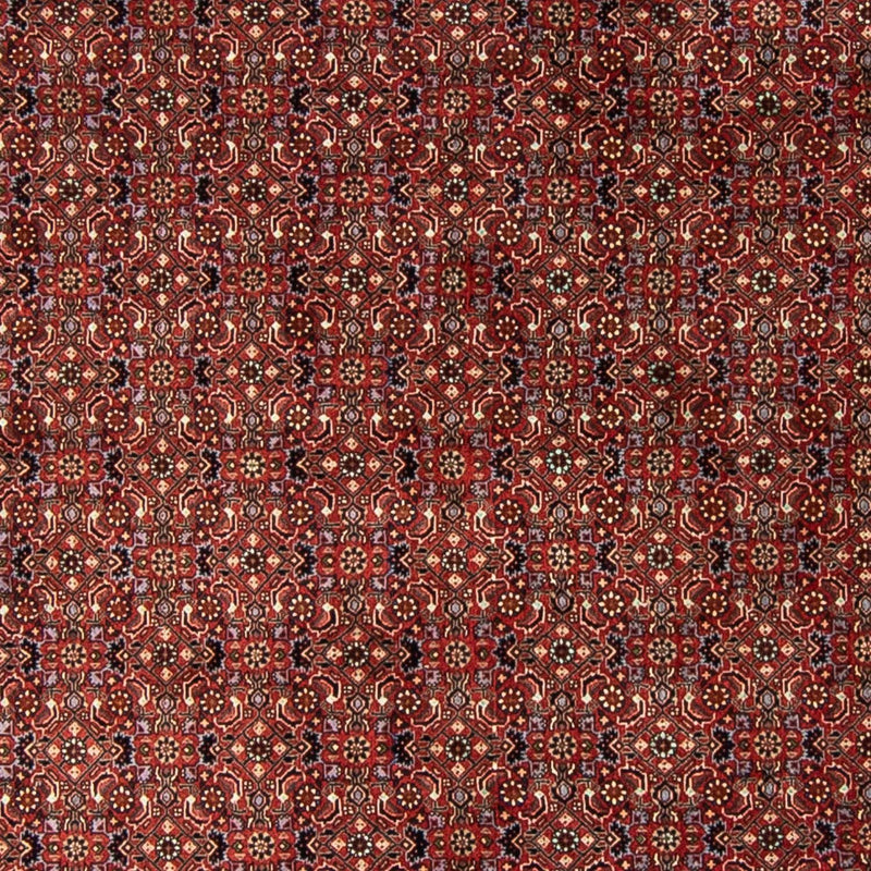 Persisk tæppe - Bijar rundt  - 250 x 250 cm - mørkerød