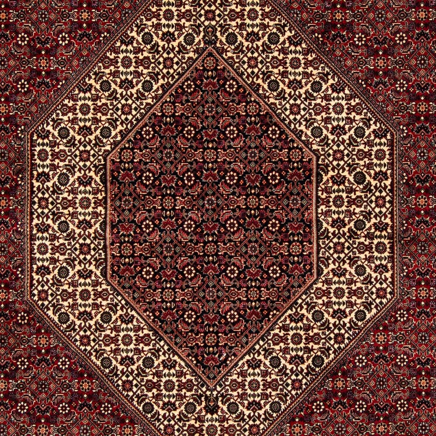 Persisk tæppe - Bijar - 254 x 205 cm - mørkerød