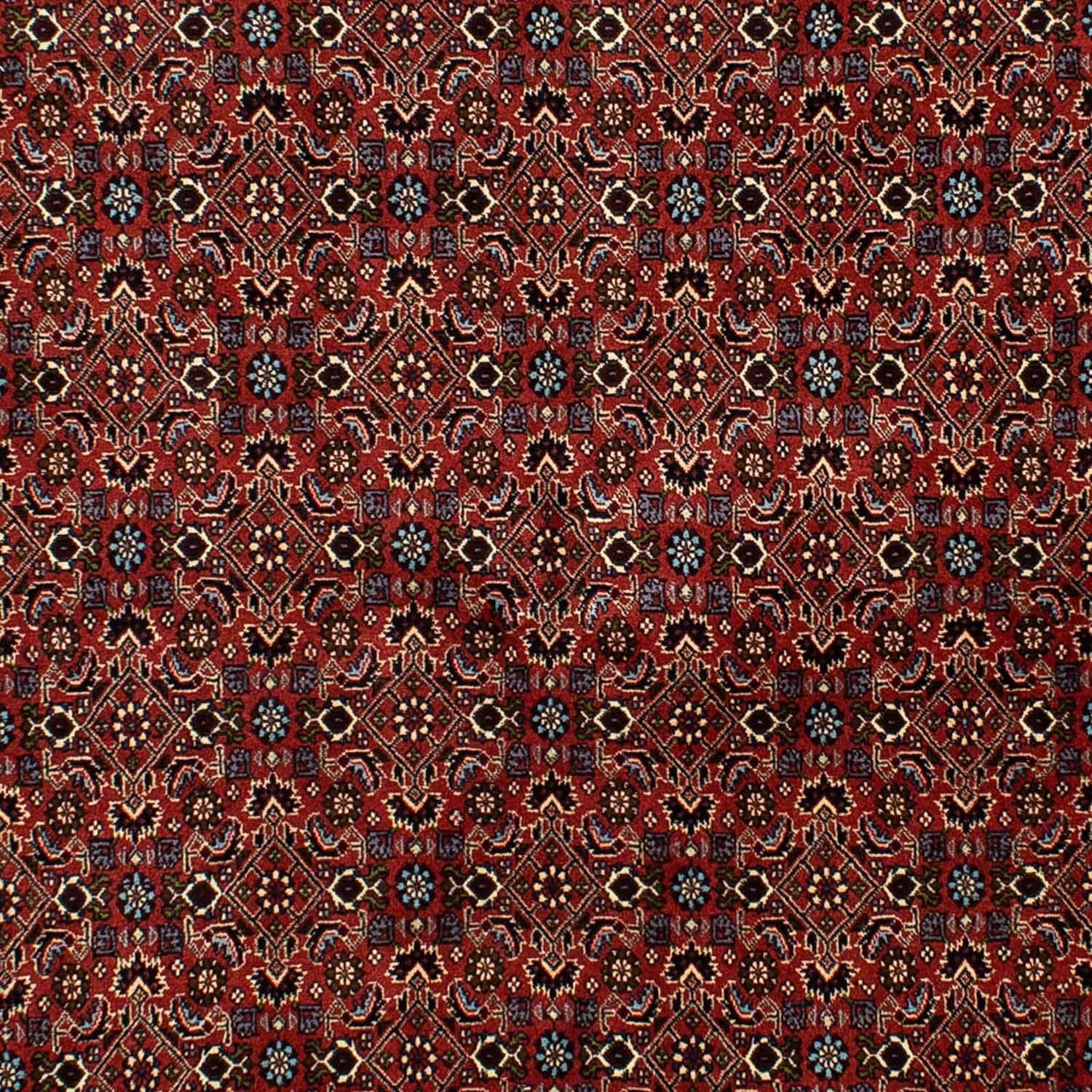 Persisk tæppe - Bijar - 246 x 172 cm - mørkerød