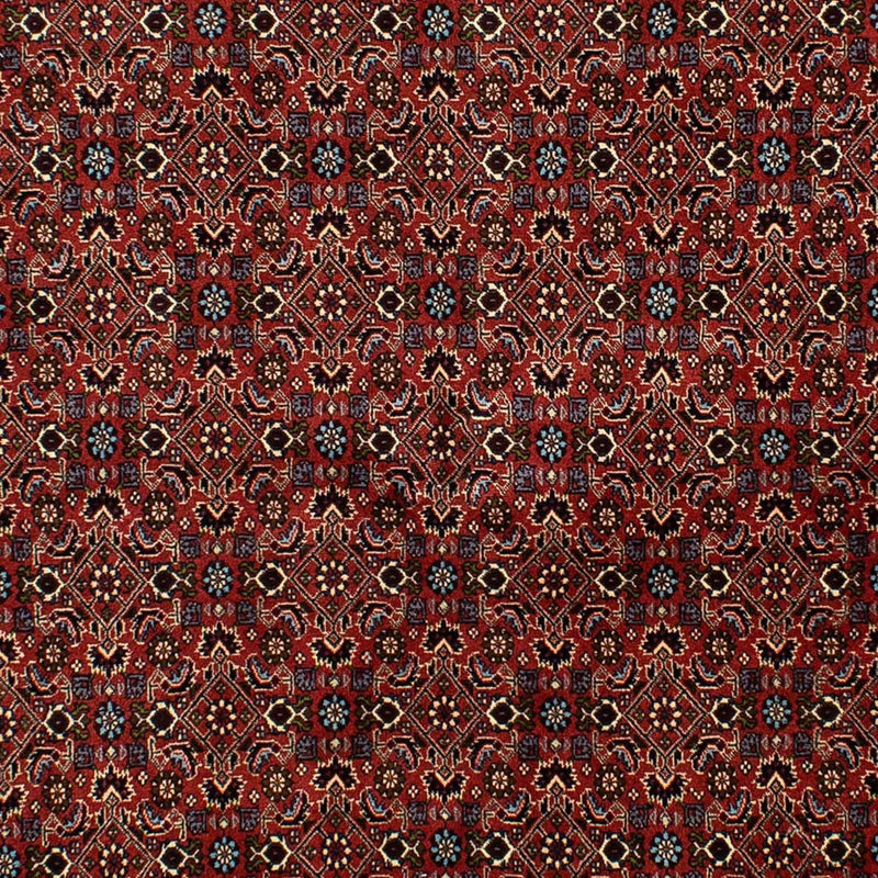 Persisk tæppe - Bijar - 246 x 172 cm - mørkerød
