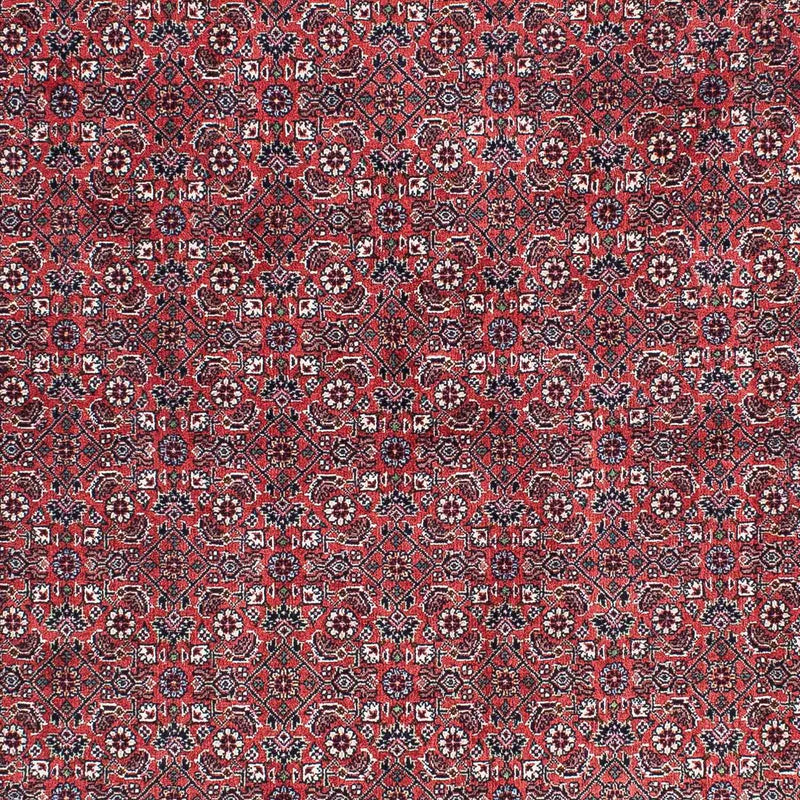 Persisk tæppe - Bijar - 204 x 129 cm - lysrød