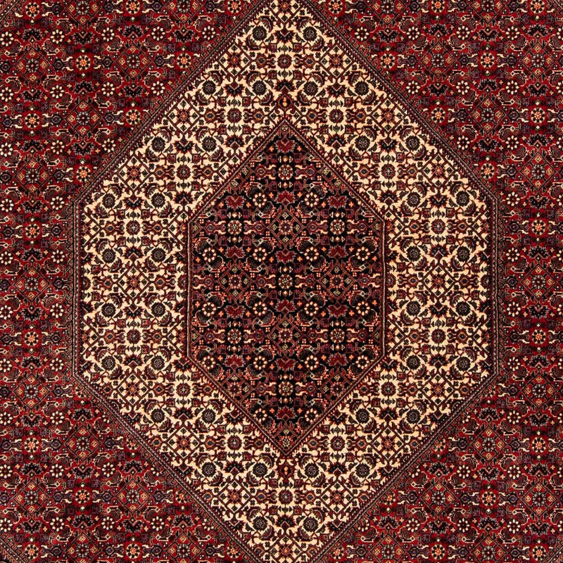 Persisk tæppe - Bijar - 254 x 204 cm - mørkerød
