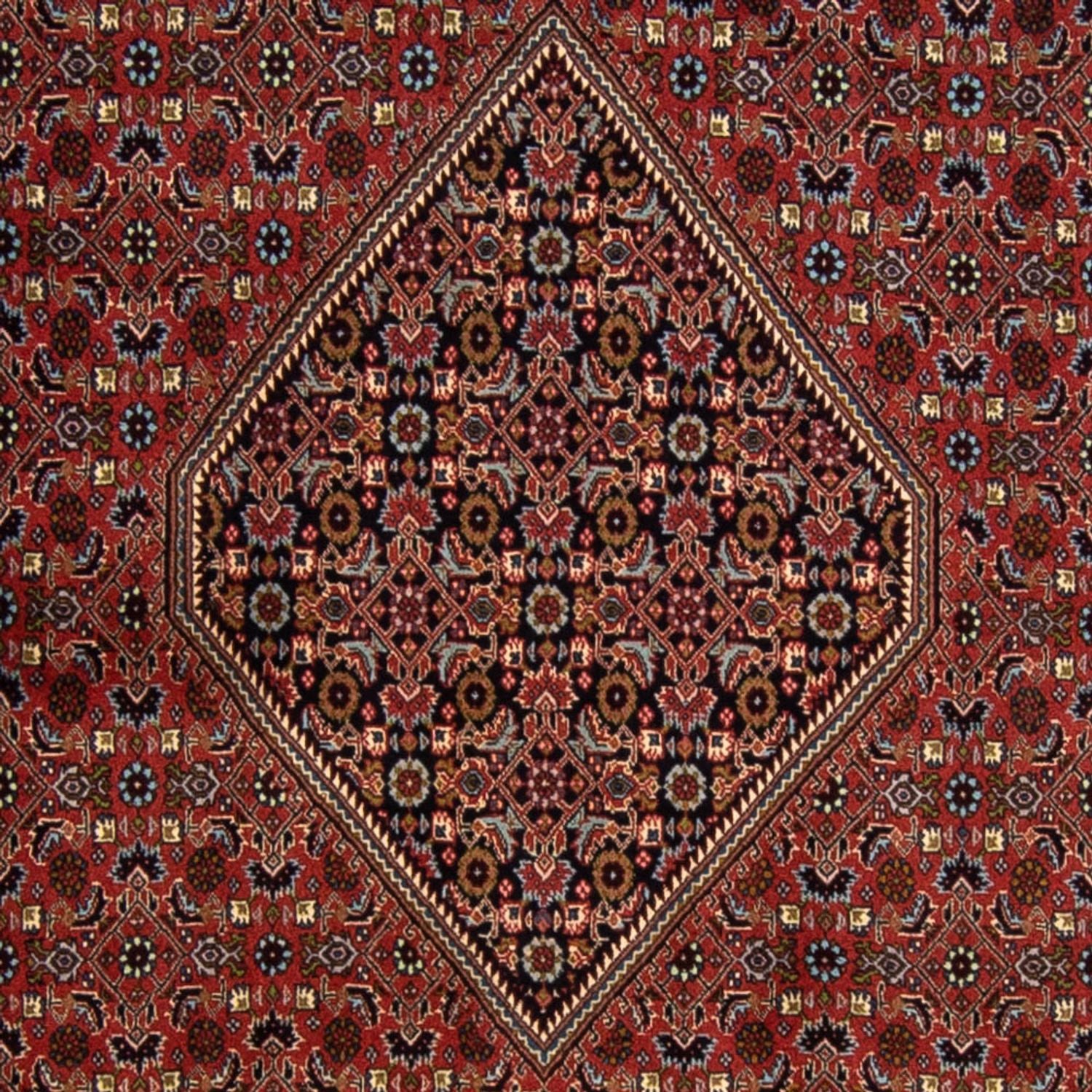 Persisk tæppe - Bijar - 337 x 250 cm - mørkerød