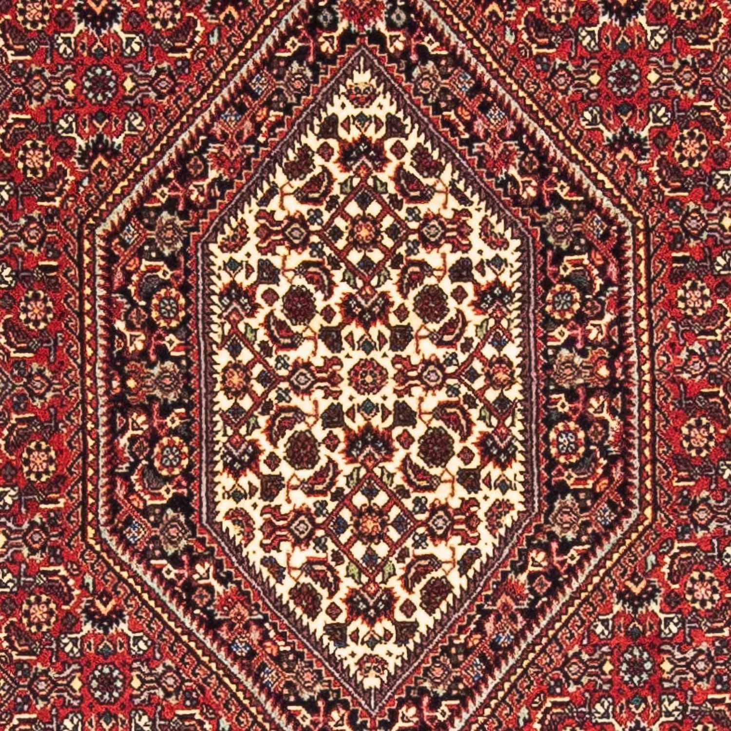 Persisk tæppe - Bijar - 153 x 89 cm - rød