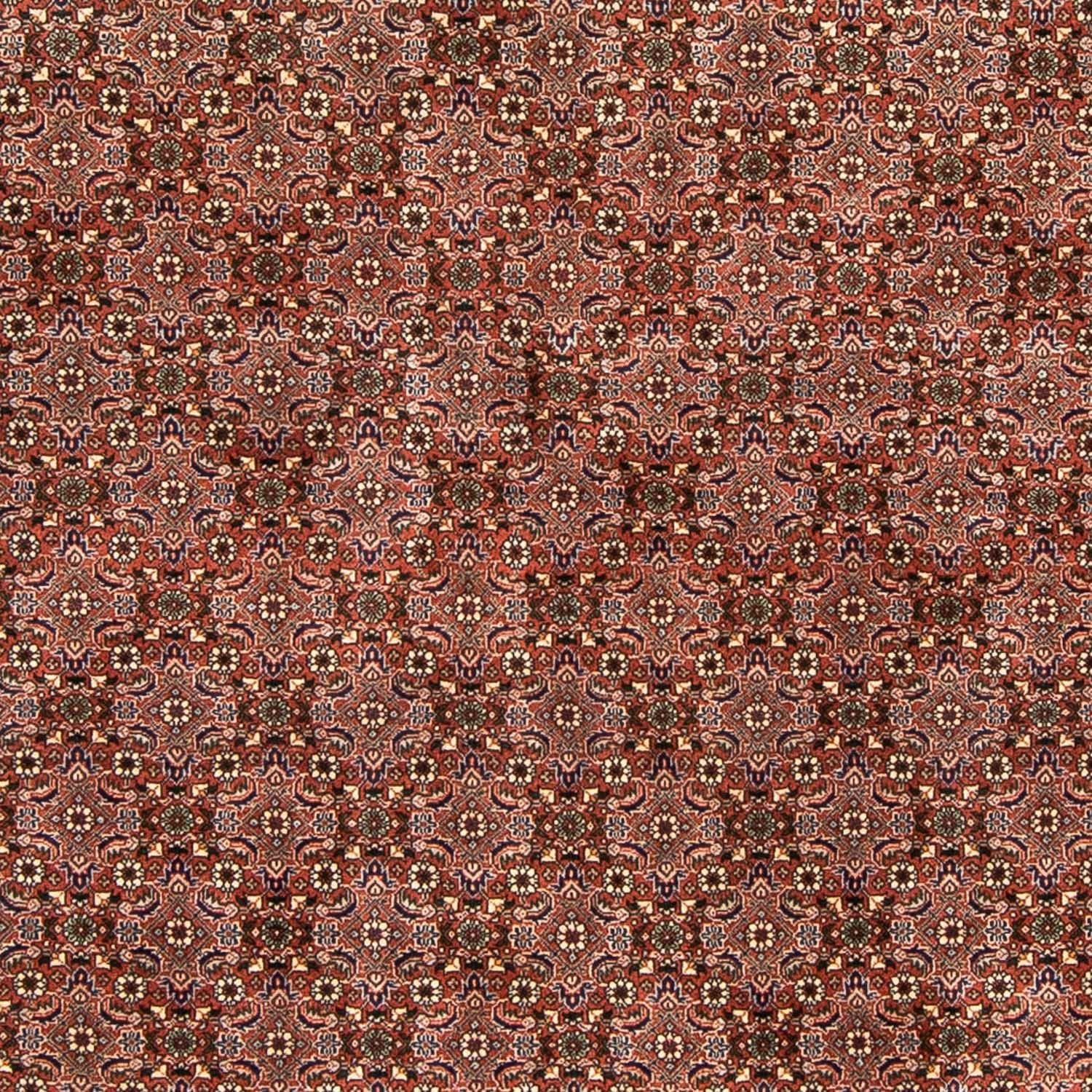 Persisk tæppe - Bijar - 235 x 167 cm - lysrød