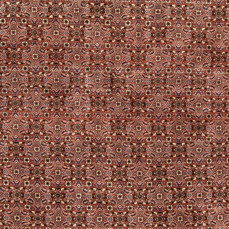 Persisk tæppe - Bijar - 235 x 167 cm - lysrød