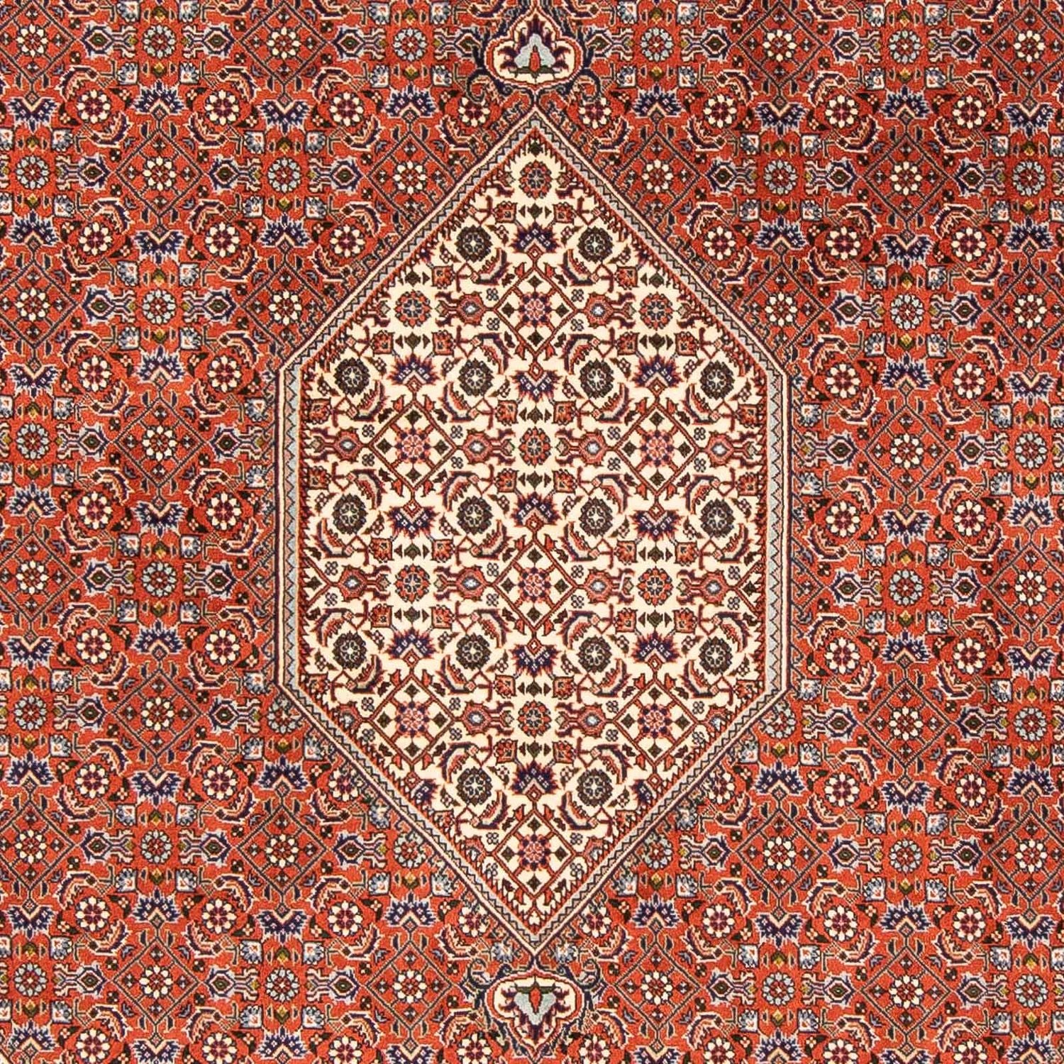 Persisk tæppe - Bijar - 245 x 167 cm - lys brun