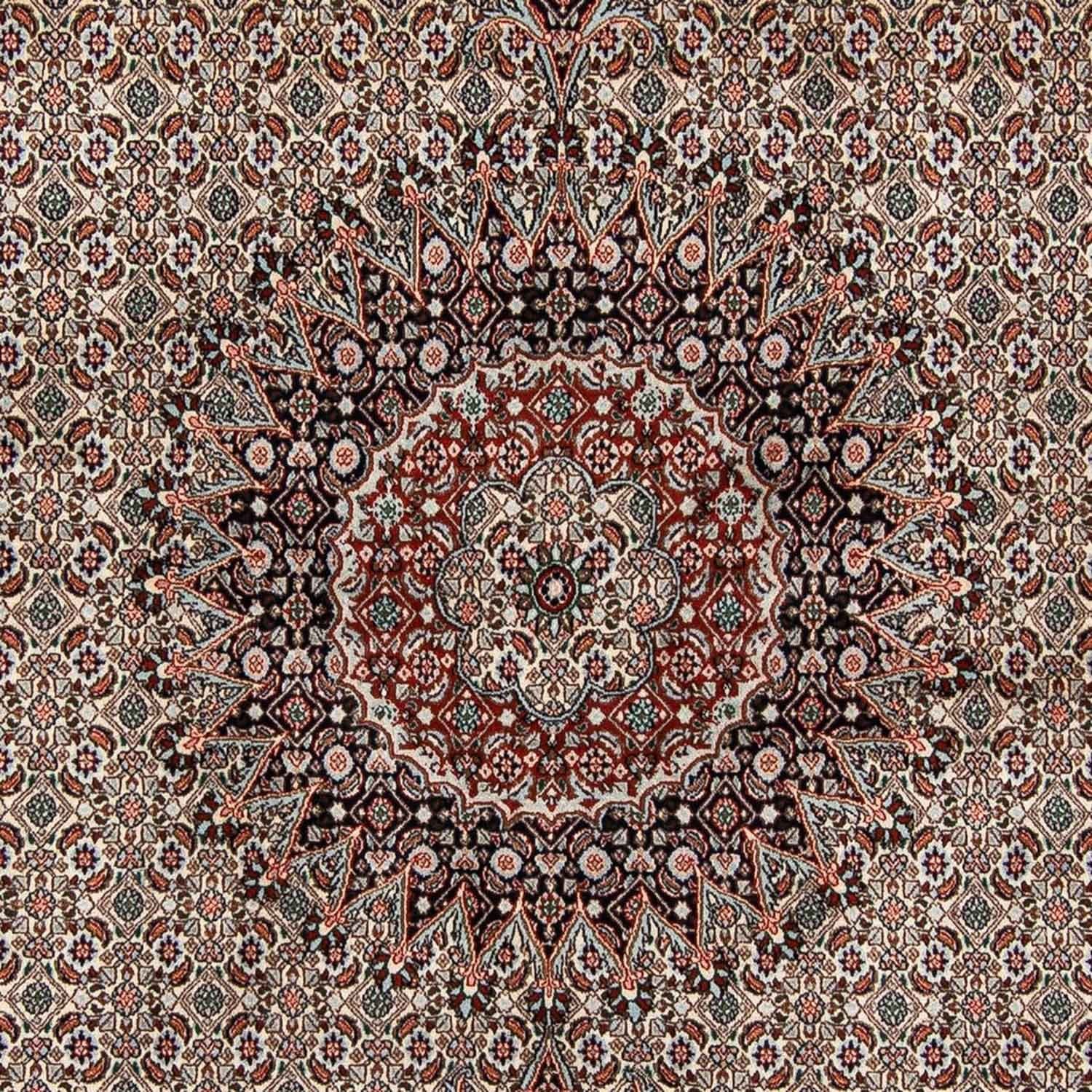 Persisk tæppe - Classic - 300 x 196 cm - beige