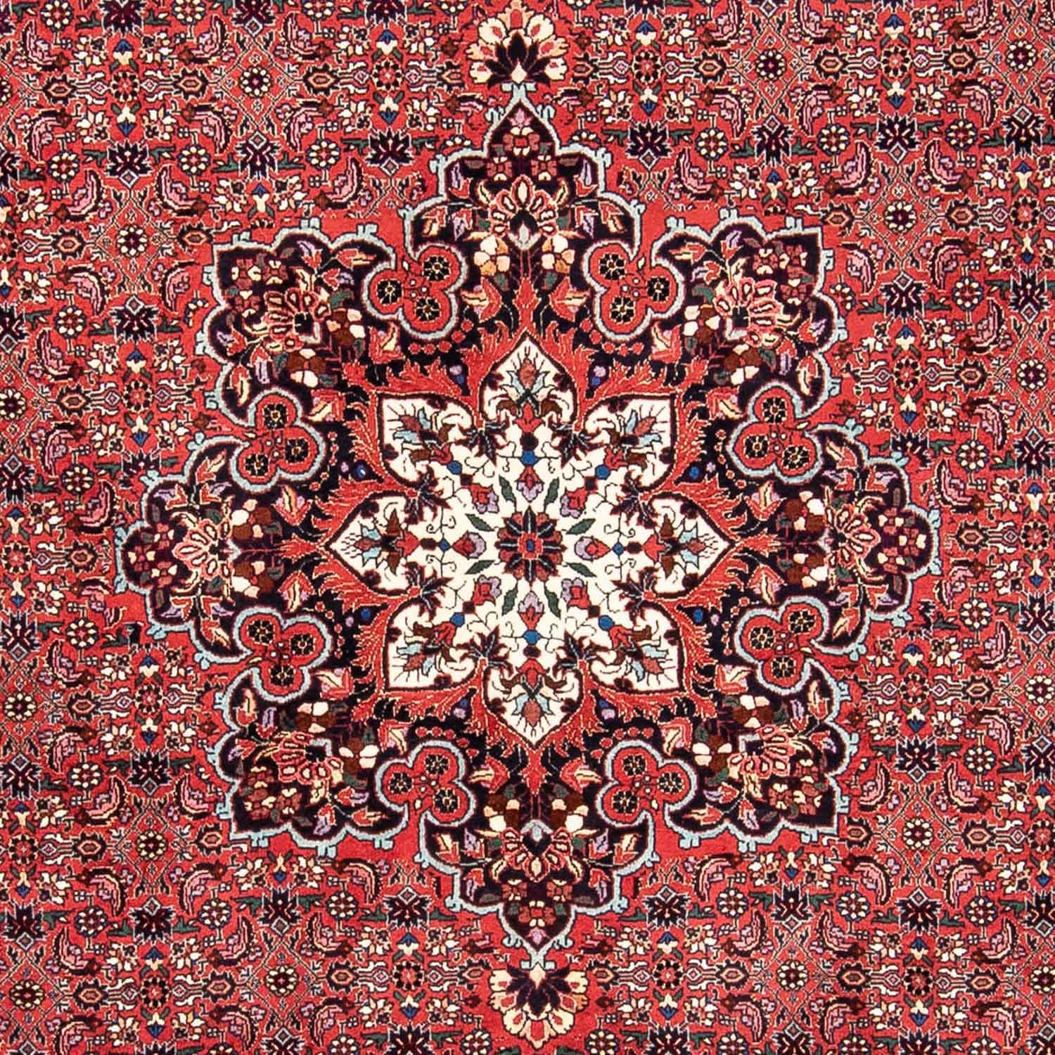 Persisk tæppe - Bijar - 240 x 170 cm - rød