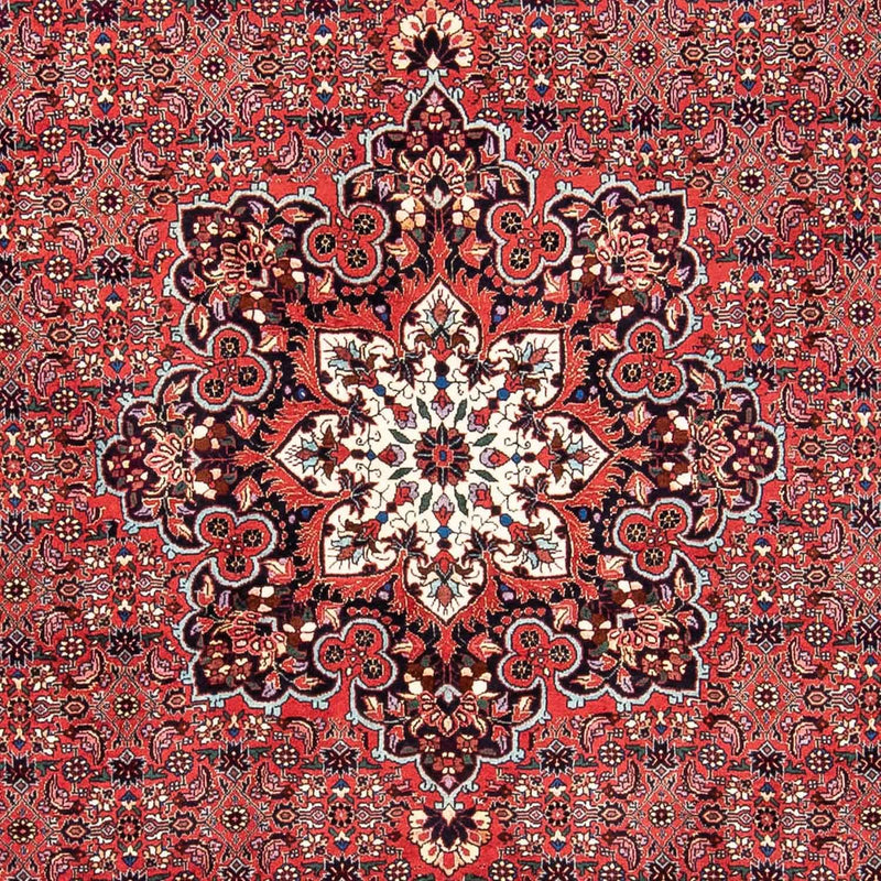 Persisk tæppe - Bijar - 240 x 170 cm - rød