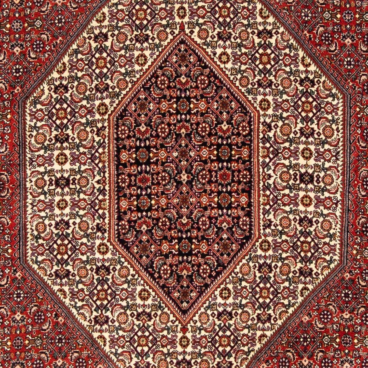 Persisk tæppe - Bijar - 244 x 153 cm - mørkerød