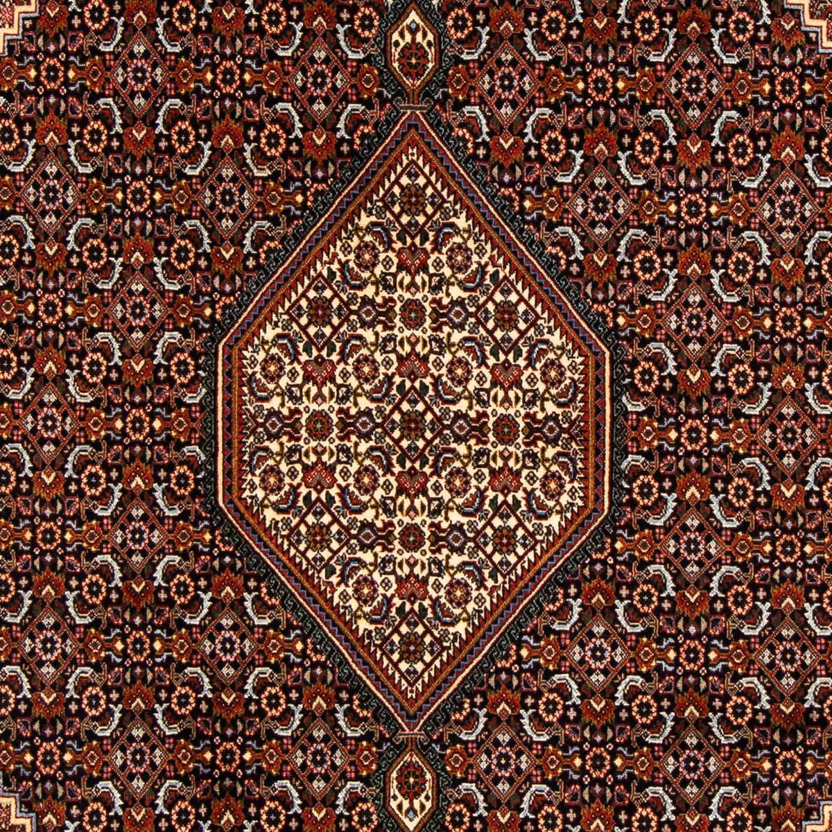 Persisk tæppe - Bijar - 270 x 167 cm - brun