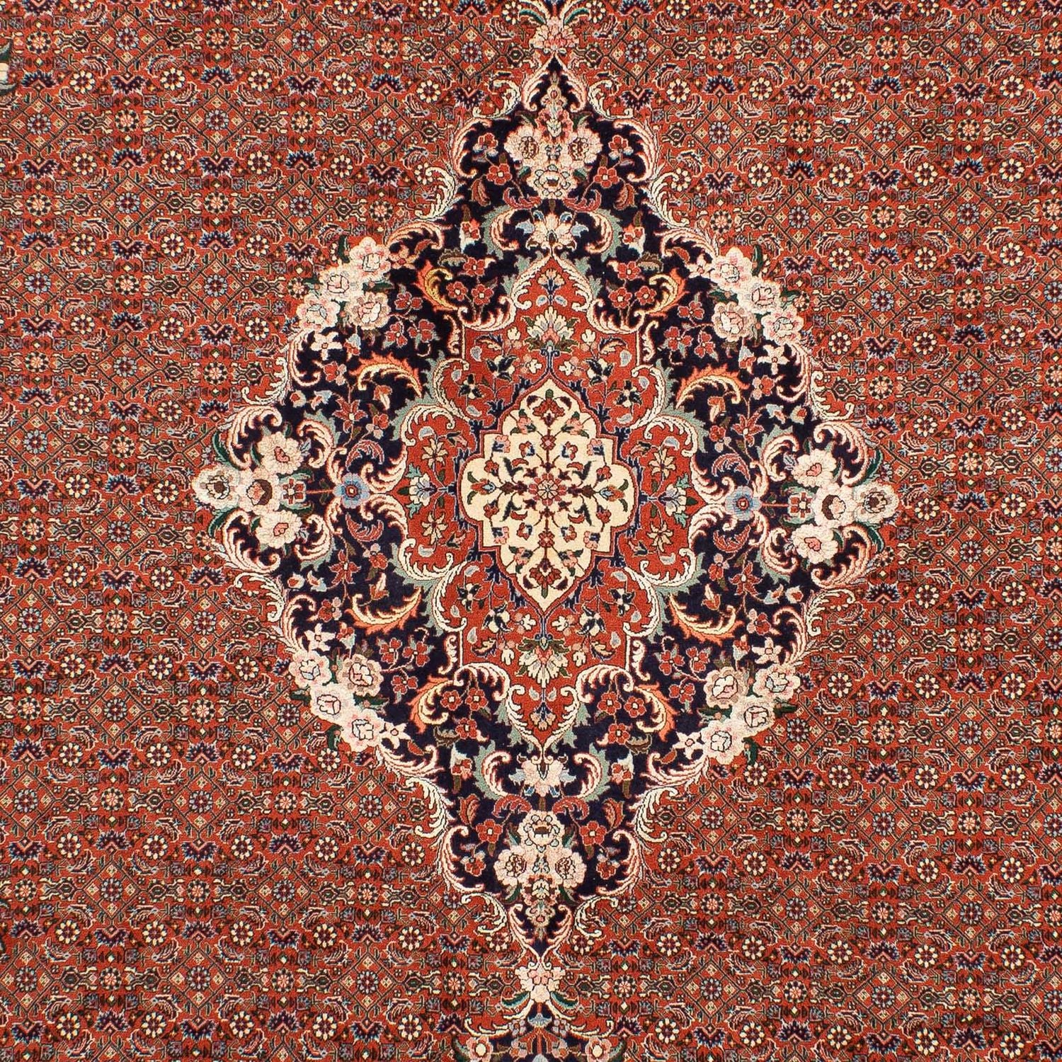 Persisk tæppe - Bijar - 288 x 206 cm - rust