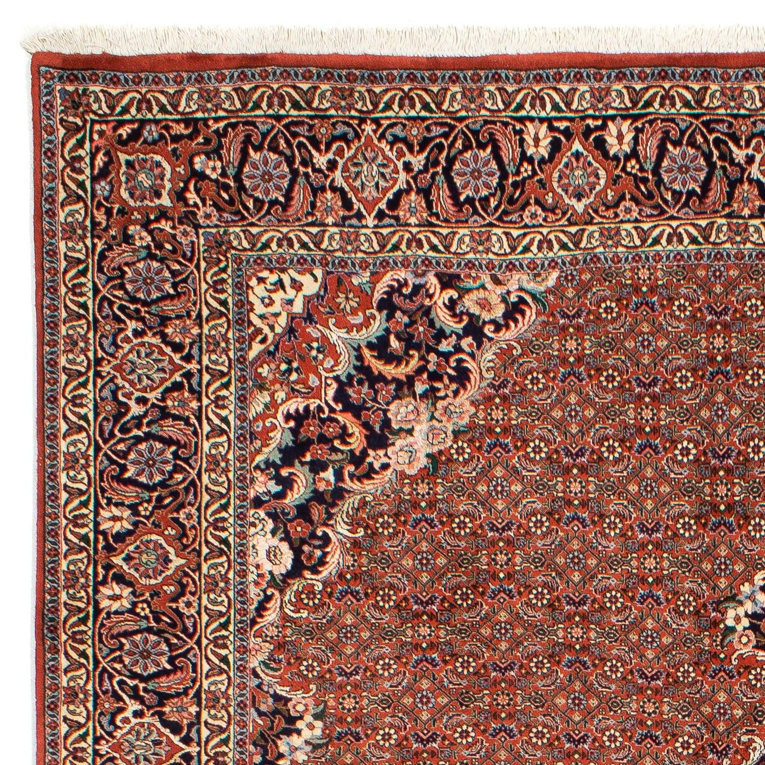 Persisk tæppe - Bijar - 288 x 206 cm - rust
