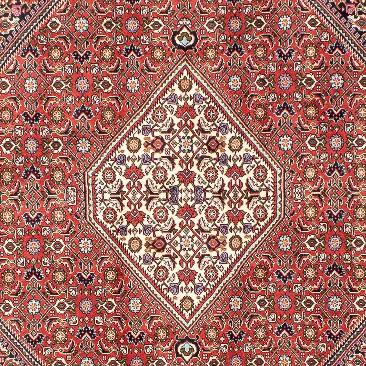 Persisk tæppe - Bijar - 240 x 173 cm - rød