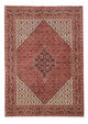 Bidjar Tæppe 250x175cm - Persisk tæppe