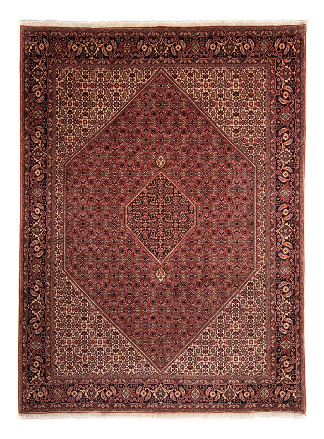 Persisk tæppe - Bijar - 338 x 248 cm - brun