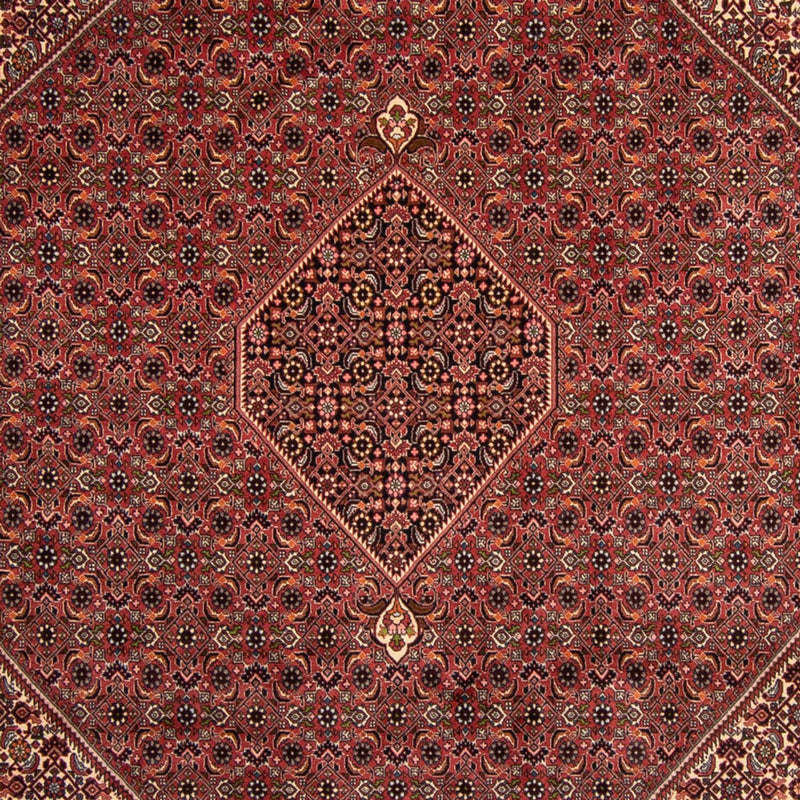 Persisk tæppe - Bijar - 338 x 248 cm - brun