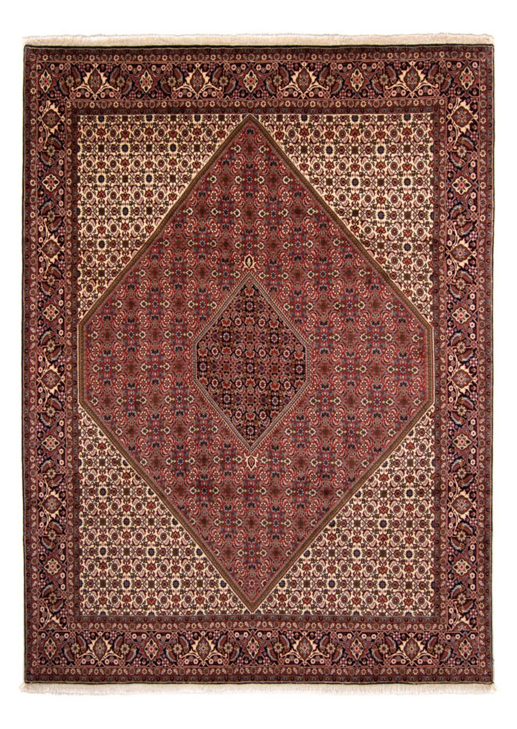 Persisk tæppe - Bijar - 340 x 252 cm - brun