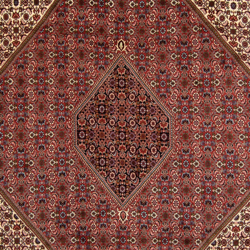 Persisk tæppe - Bijar - 340 x 252 cm - brun