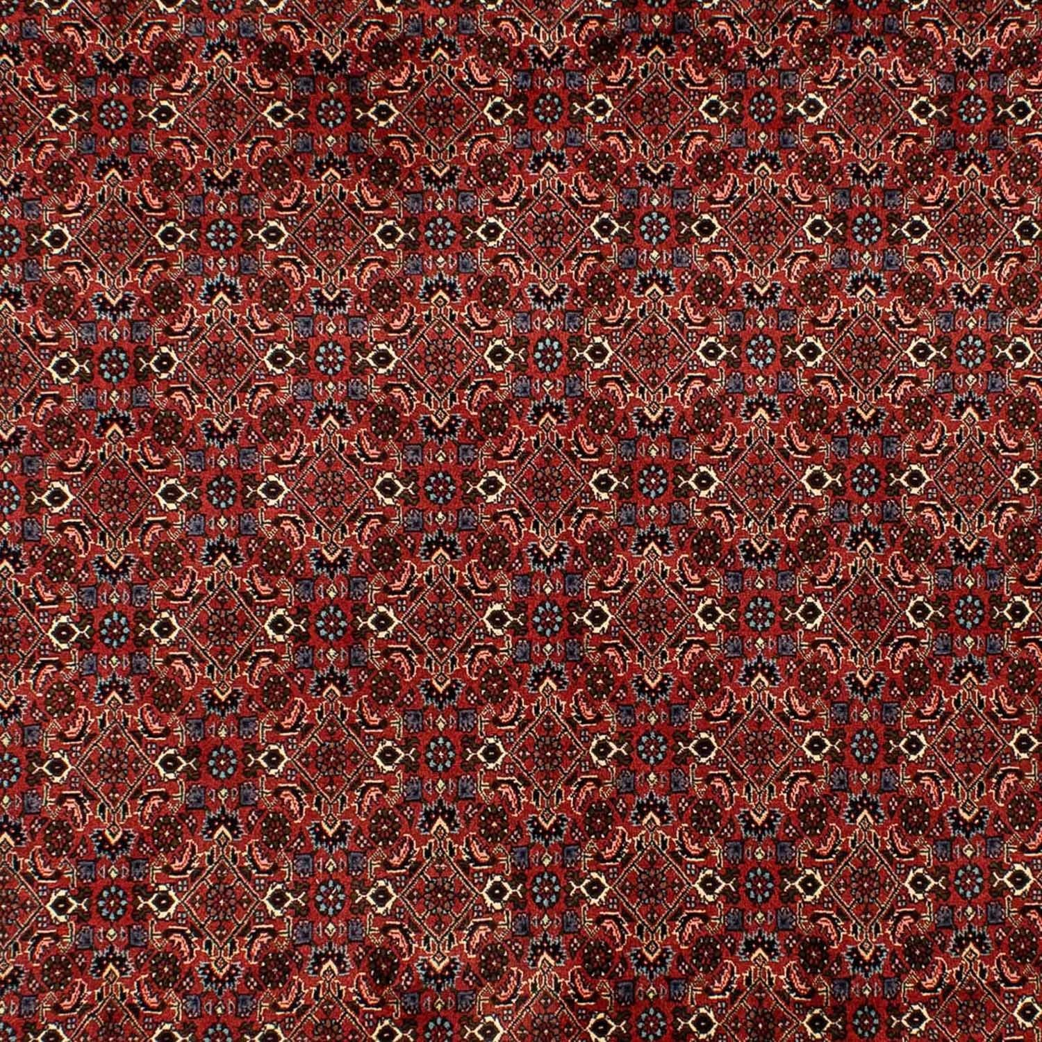 Persisk tæppe - Bijar - 284 x 200 cm - mørkerød