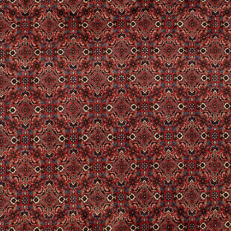 Persisk tæppe - Bijar - 284 x 200 cm - mørkerød