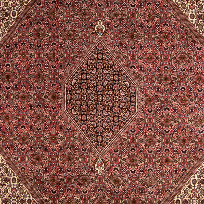 Persisk tæppe - Bijar - 350 x 245 cm - brun